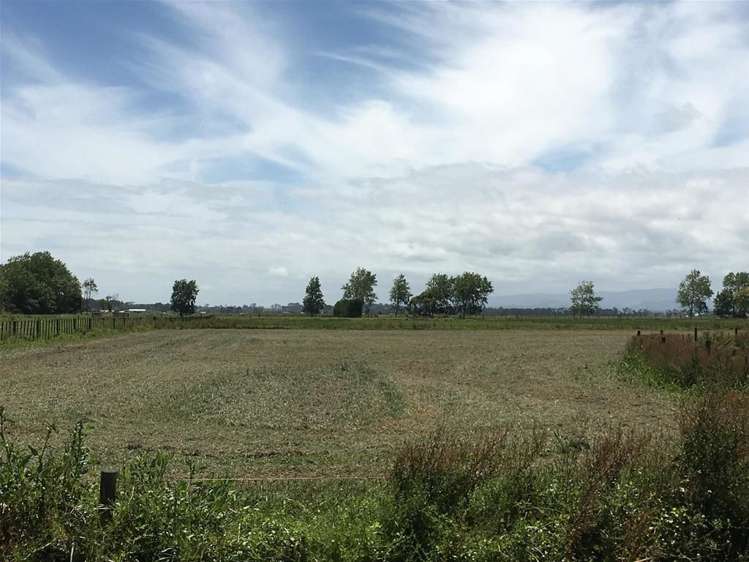 27 Heawa Road Dargaville Surrounds_14