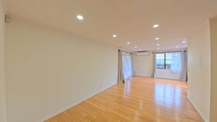 Dominion Road Mt Eden_2