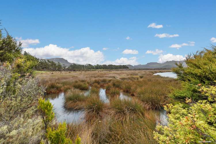 67B & 199 Gray Road Great Barrier Island_13