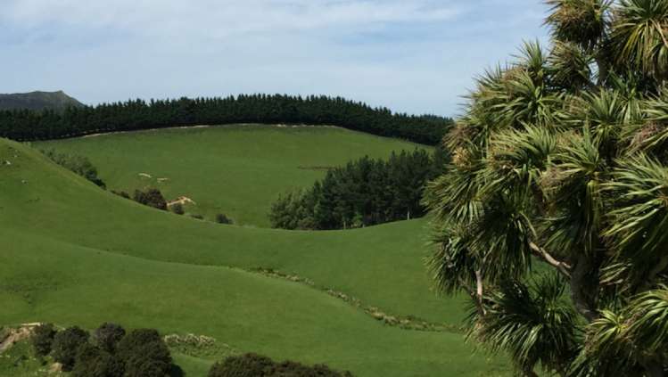 460 Tora Road Tora_18