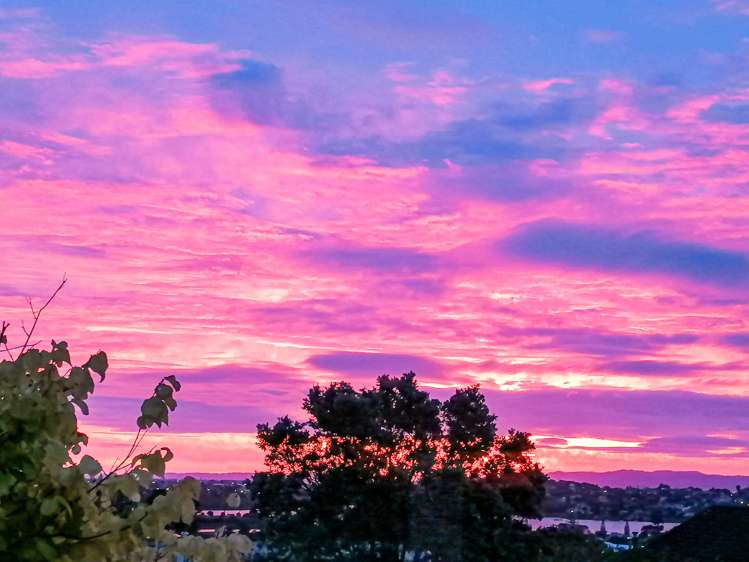 23 Ellesmere Crescent Pakuranga Heights_20