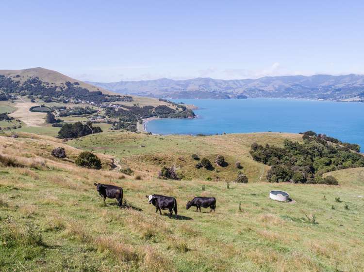 100 Jubilee Road Wainui_13