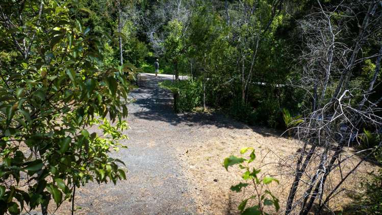 Te Akau Wharf Road Te Akau_10