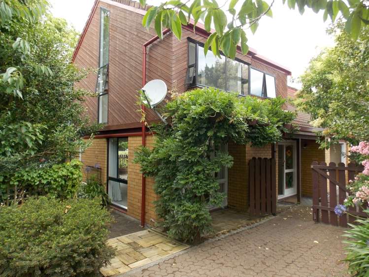 288a Manukau Road Epsom_0