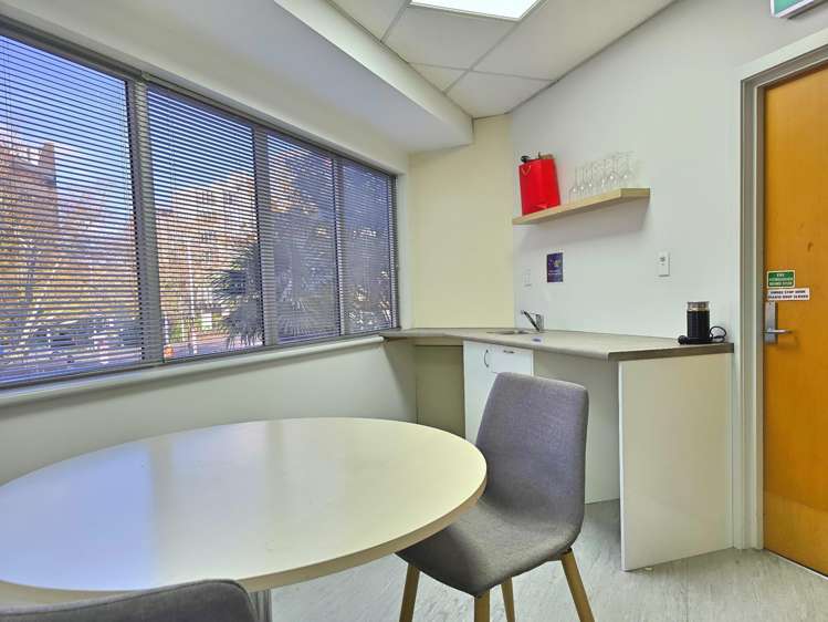 60 Airedale Street Auckland Central_3