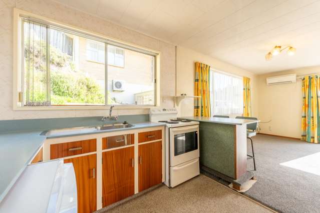 2/18 Aln Street Oamaru_1