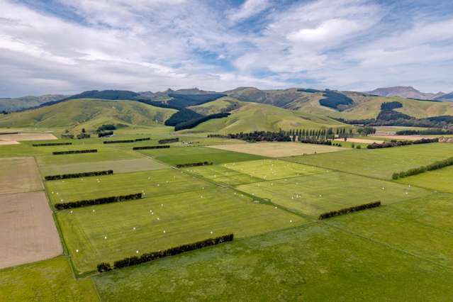 Productive bare land grazing block