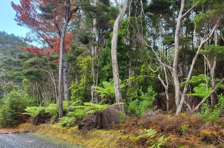 10 Wilson Avenue Kawau Island_8