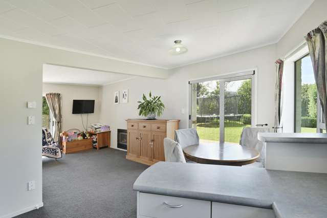 410 Hemi Street Raureka_4