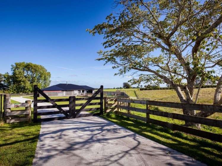 295 Opunake Road Cardiff_2