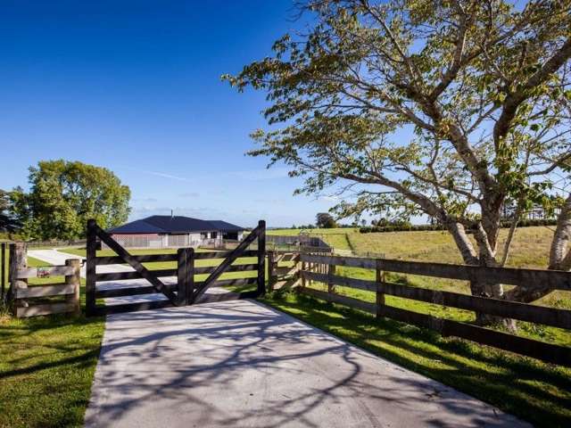 295 Opunake Road Cardiff_2