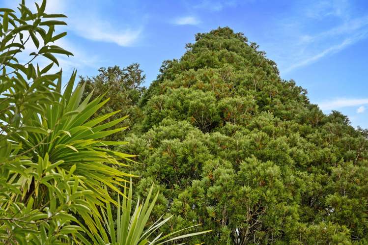 Lot Lot 5/115 Screen Road Coatesville_15