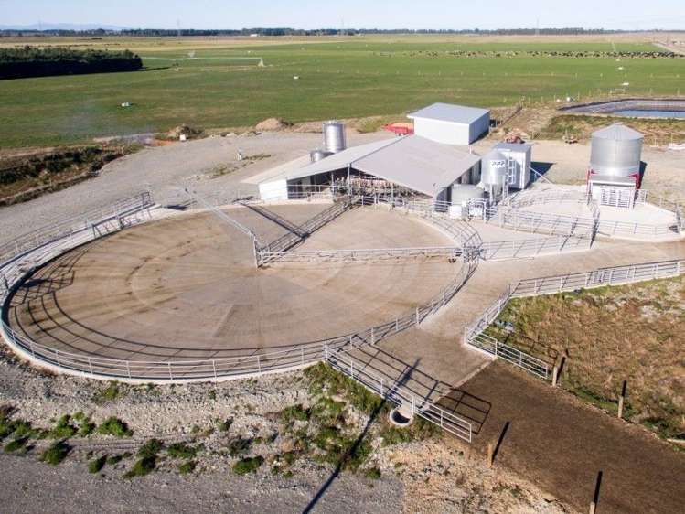 103 Mclachlans Road Rakaia_0