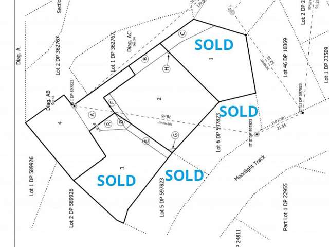Lot 2 and 4, 65 McChesney Road Arthur's Point_2