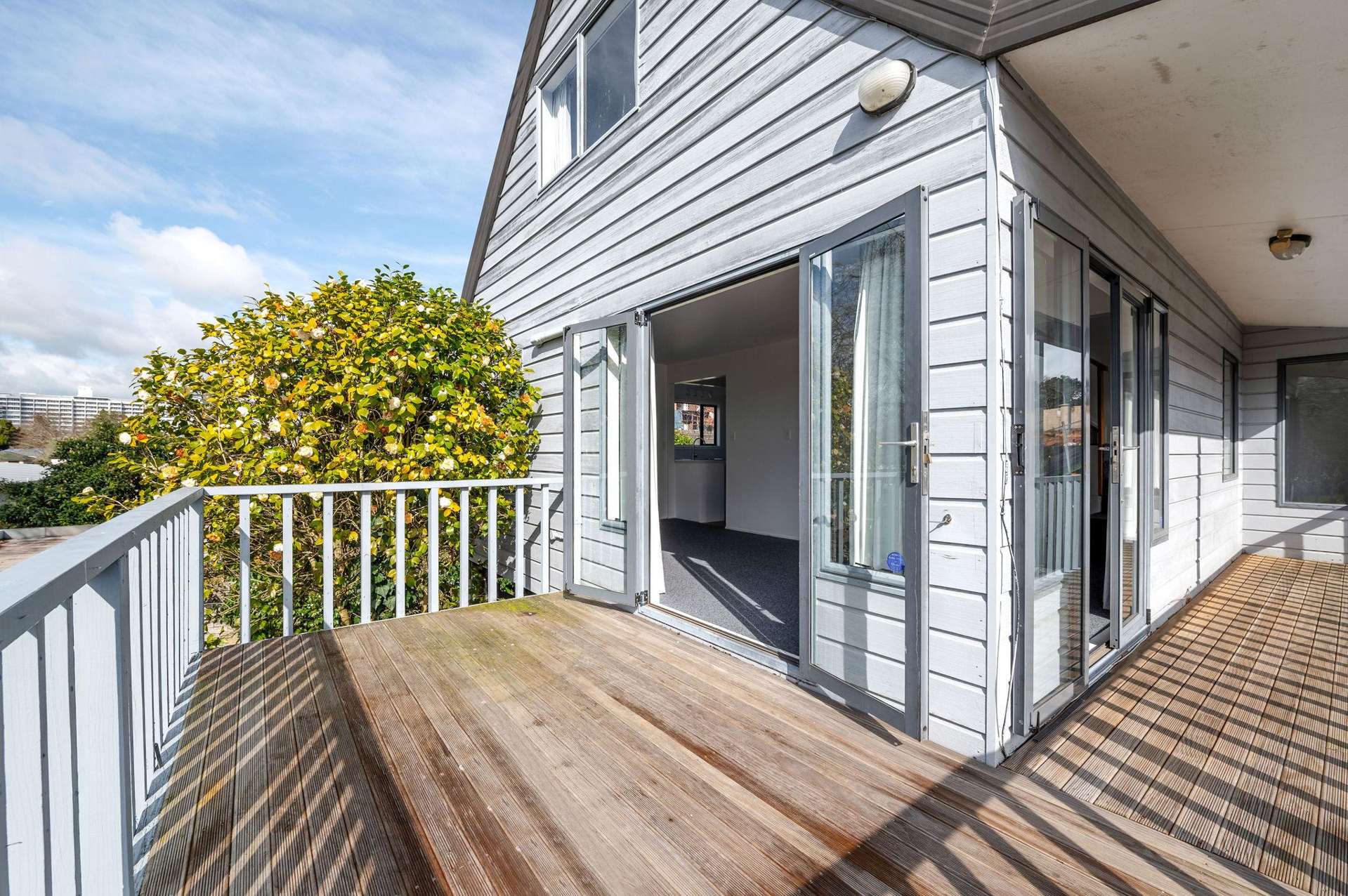 73A Pembroke Street Hamilton Lake_0