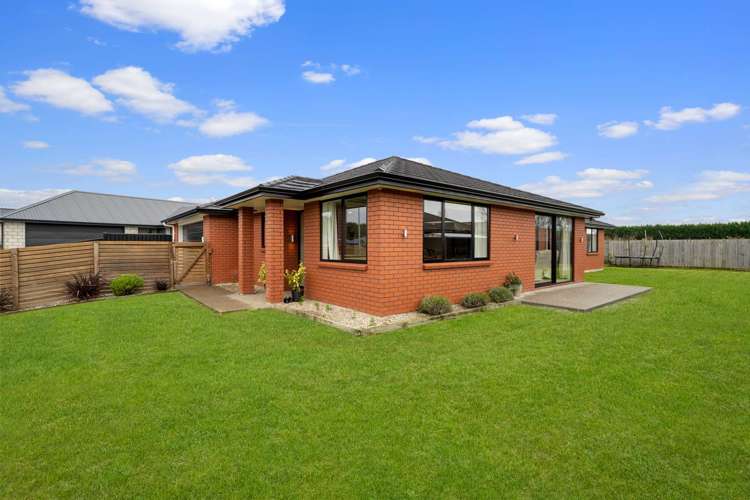 98 Hoffman Court Waikiwi_14