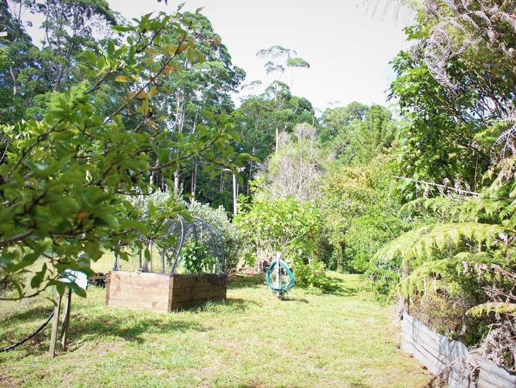 470 Tapu Coroglen Road Tapu_6