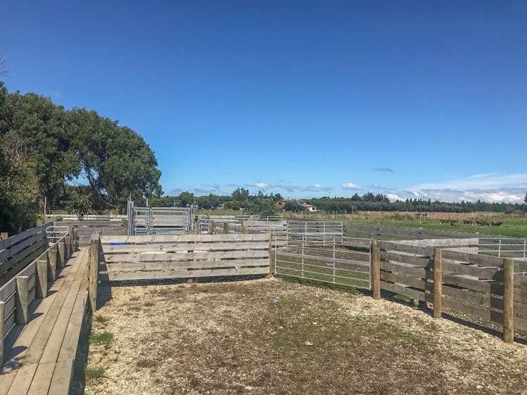 112 Kennington Waimatua Road Kennington_31