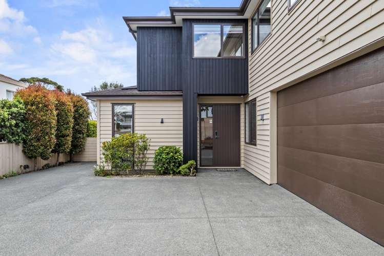 38A Francis Street Hauraki_0