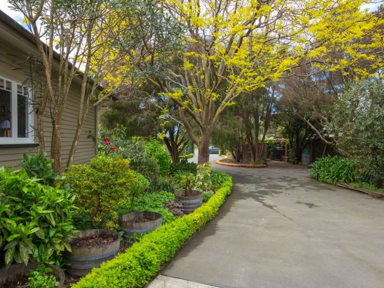 22 Purkiss Street Springlands_19