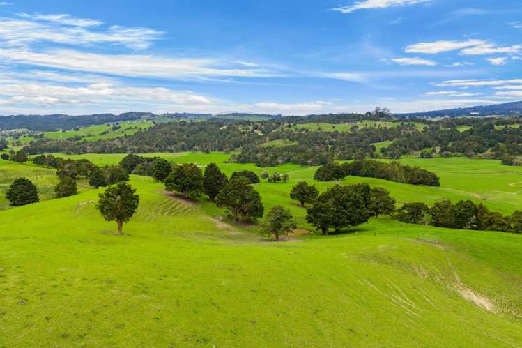 1070 Tangihua Road Maungakaramea_5