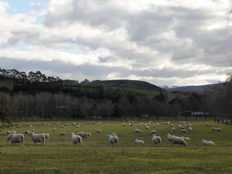 649 Kauru Hill Road Five Forks and Surrounds_66