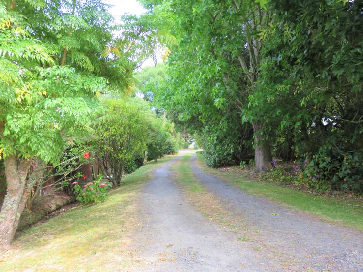 19 Liverpool Street Dargaville_21