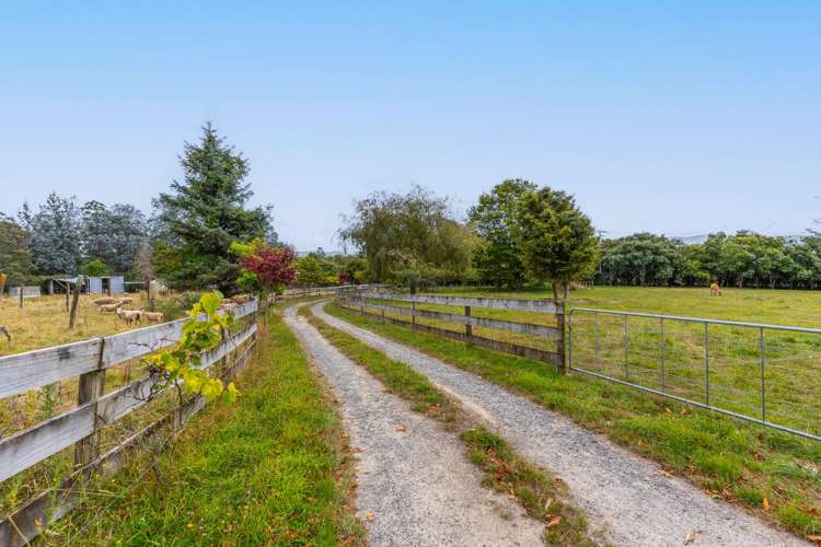58 Colletts Road Mangaroa_38