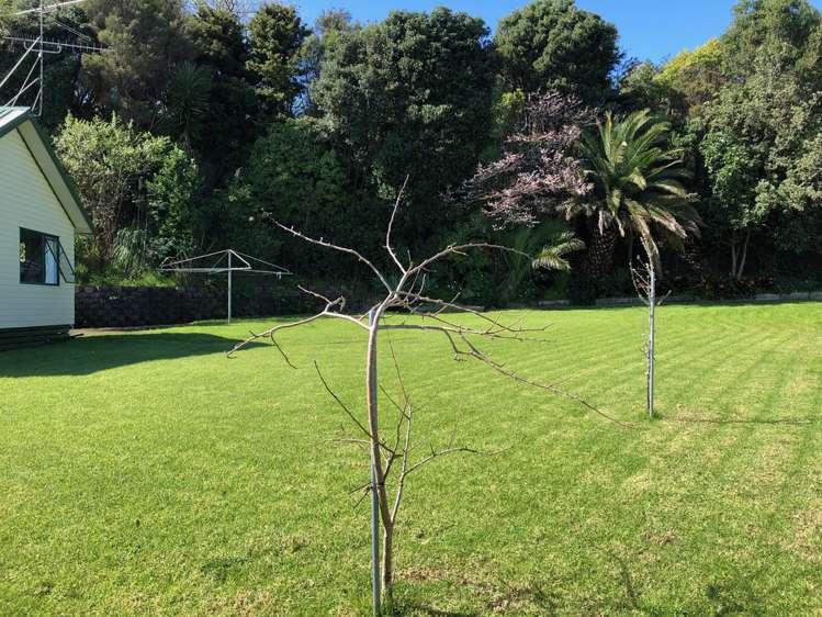 102b The Booms Avenue Thames_4