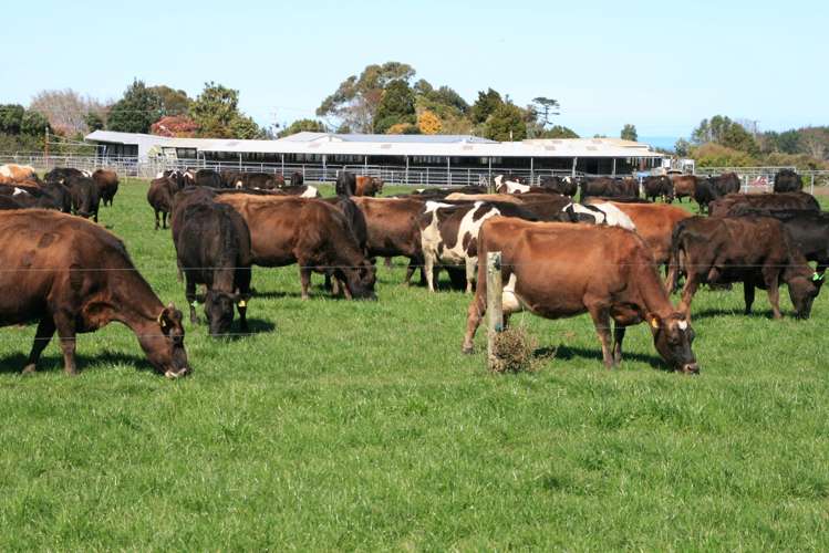 1430 Eltham Road Kaponga_8