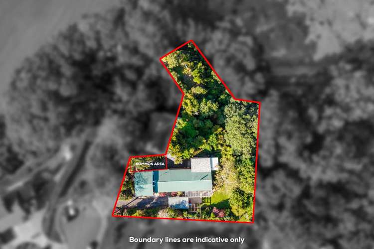 29 Bagley Street Hillsborough_35