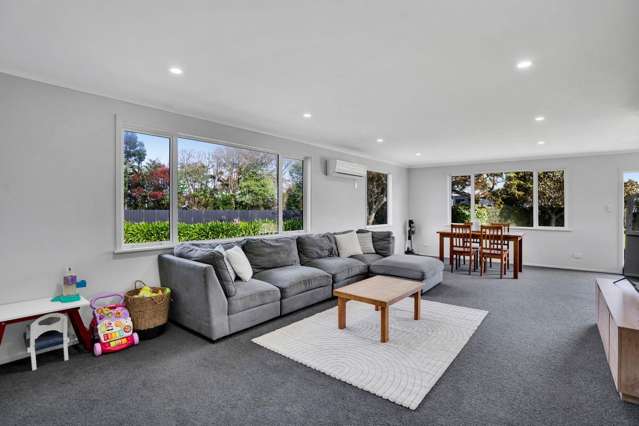 48 Fantham Street Hawera_4