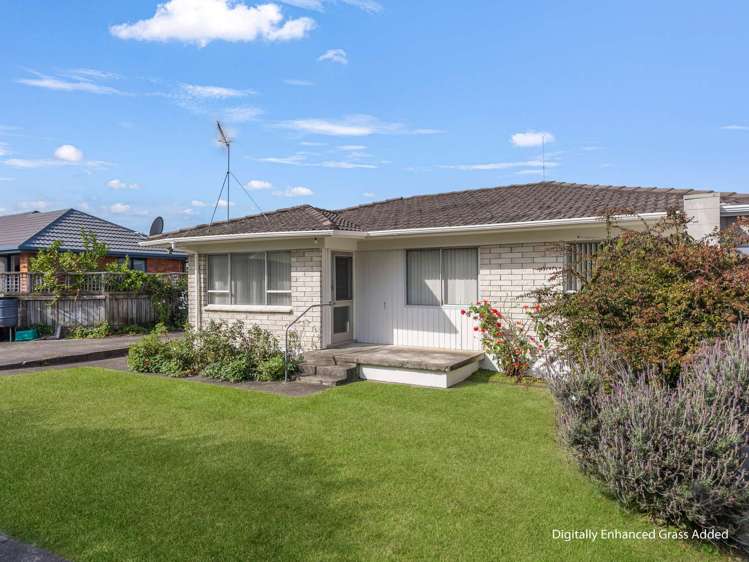 33A James Street Whakatane_23