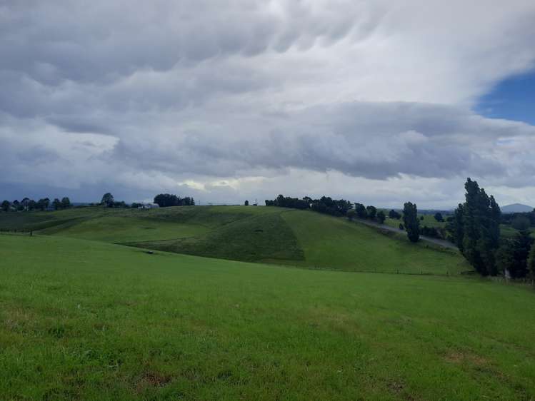 35 Grove Access Road Karamu_19