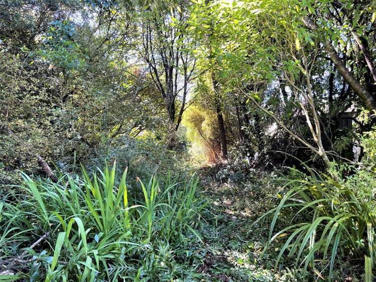 14 Tarata Street Kaka Point_6