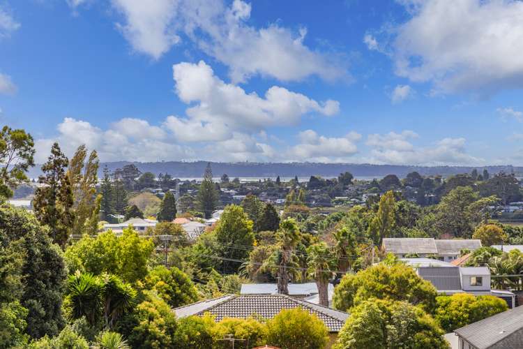 1/18 Riverview Road New Lynn_23