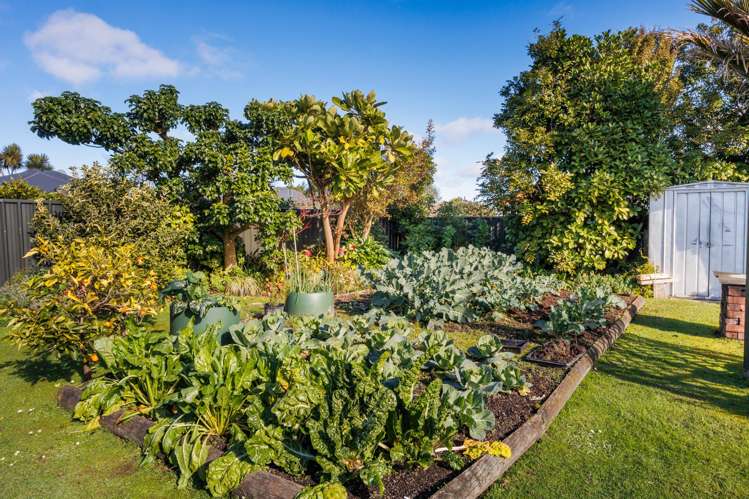 21 Karina Terrace Roslyn_20