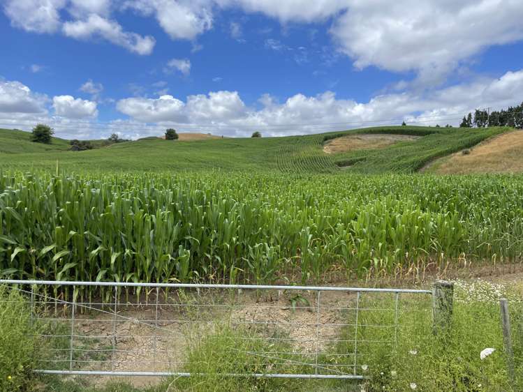 Waitomo Caves Road Waitomo_6