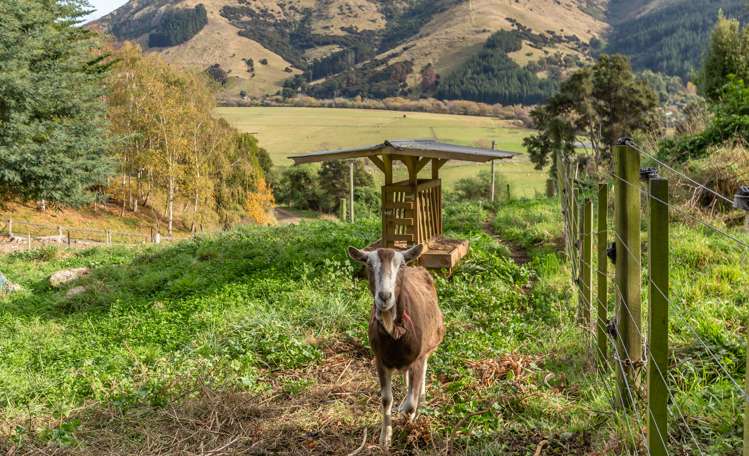 32 Breitmeyers Road Little River_42