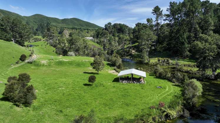 294b Dods Road Waikite Valley_9