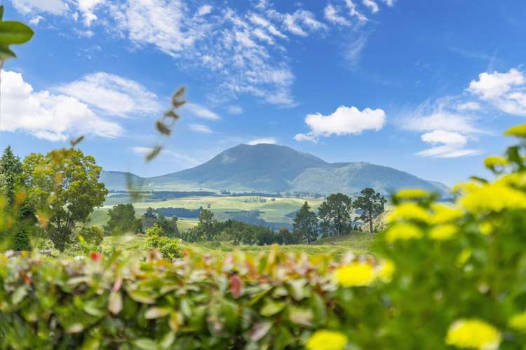 159 Palmer Mill Road Wairakei and Surrounds_30