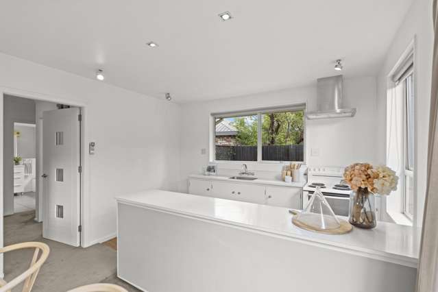 14B Cashmere Road Cashmere_1