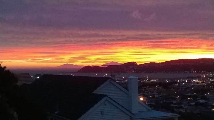 193b Townsend Road Miramar_16