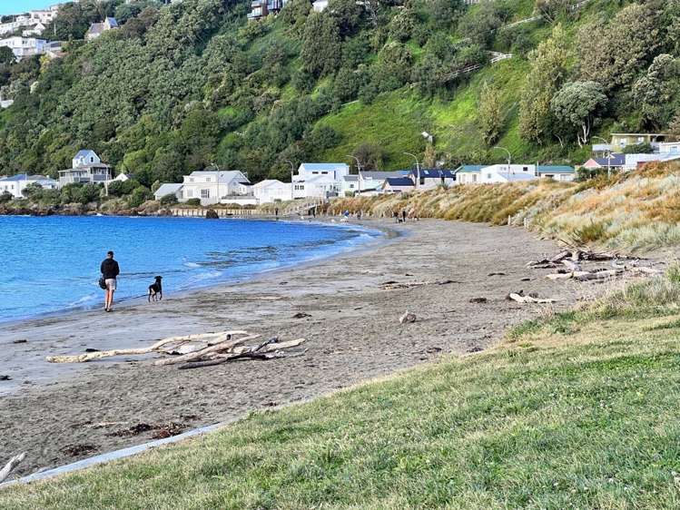 90b Awa Road Seatoun_13