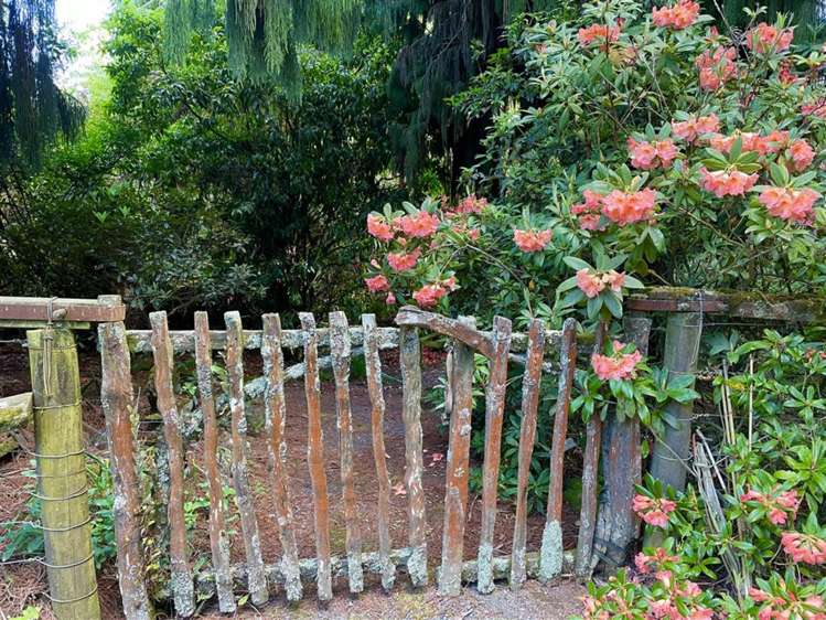 488 Tapuwae Road Benneydale_20