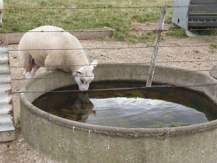 219 Robertson Road Winton Surrounds_31