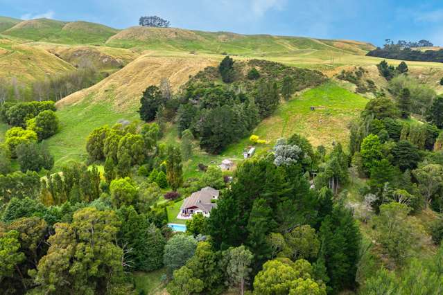 2615 Pourerere Road Central Hawkes Bay Coastal_1