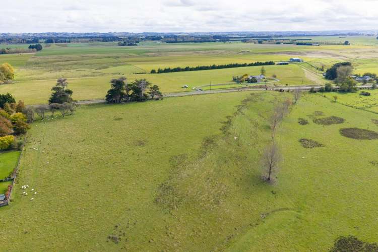 620 Taonui Road Colyton_22