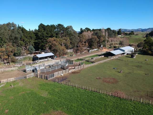 254 Wilder Road Porangahau_1