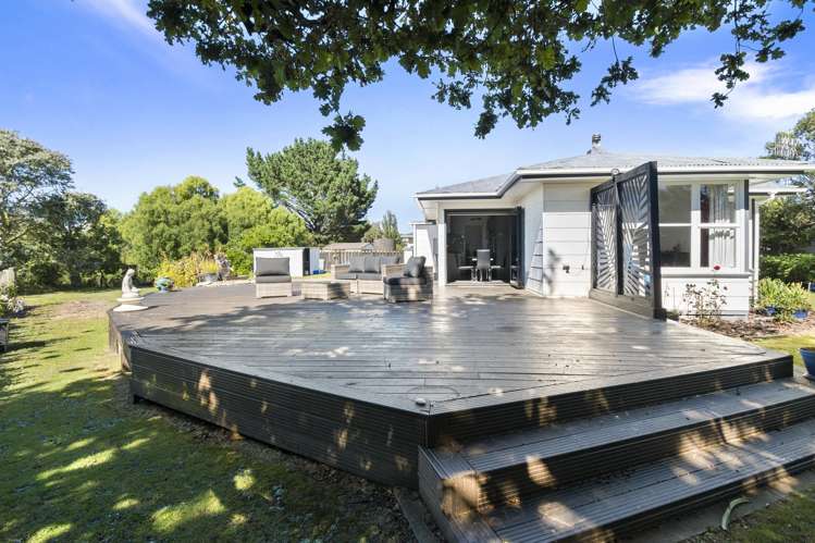 22 Ward Street Bulls_13